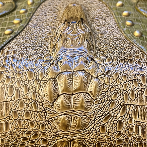 Backbone gator pet carrier - Picture 8 of 11